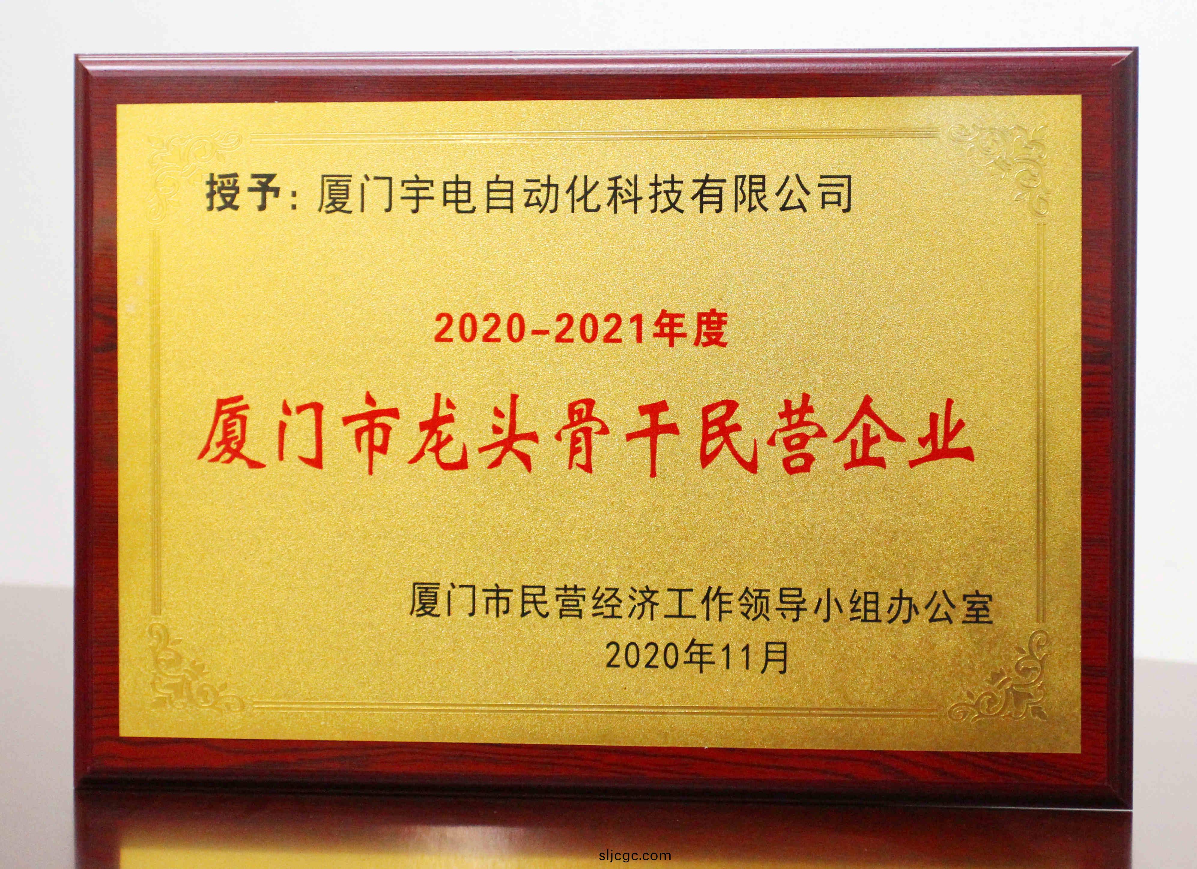 2020-2021年度(du)龍頭骨(gu)榦民營企業_XIAO副本.jpg